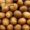 продовольственный картофель оптом  в Богородицке
