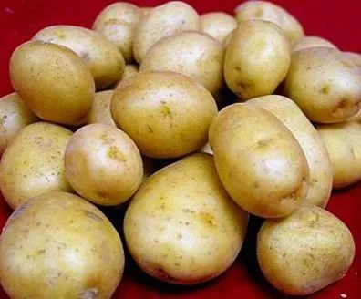 картофель Леди Клэр в Богородицке
